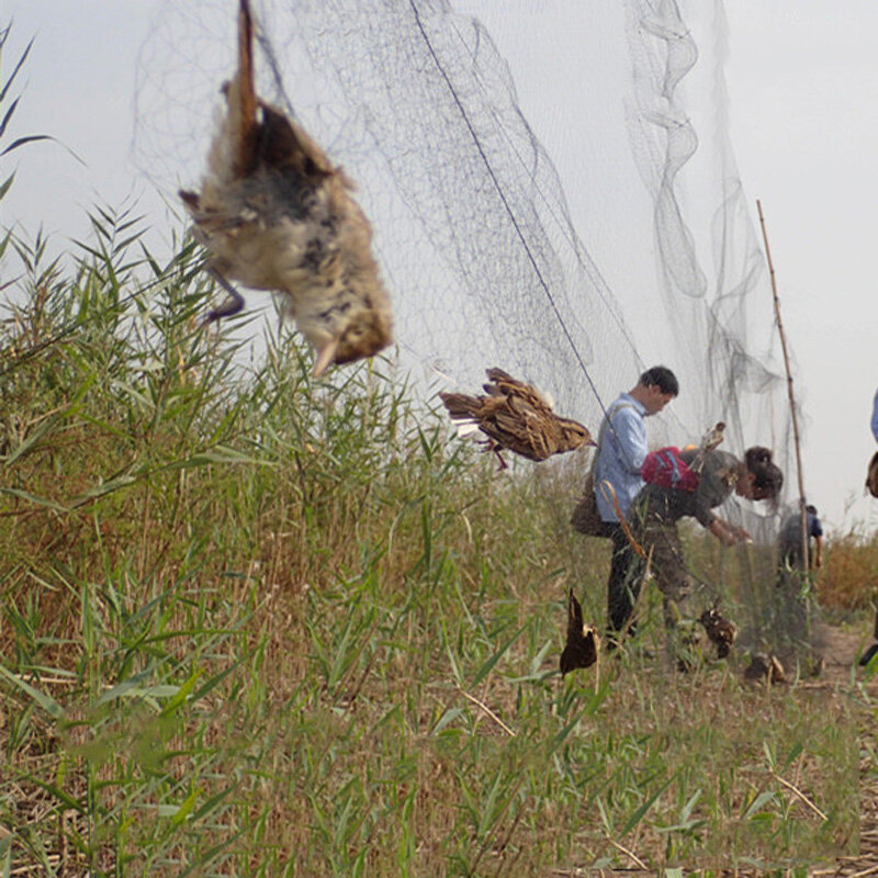 Anti Bird Catcher reticolato stagno rete rete da pesca trappole colture albero da frutto verdure giardino floreale maglia proteggi il controllo dei parassiti