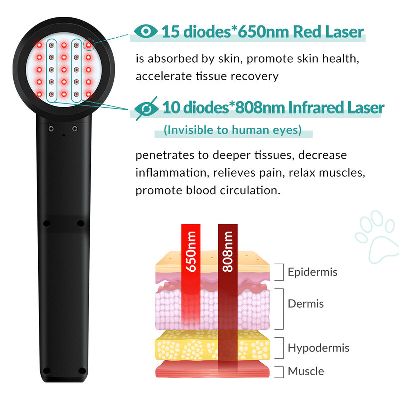ZJZK 3w Cold Level Laser Therapy For Torn Meniscus 650nmx15diodes+808nmx10diodes laser therapy For Heel Spurs Neuralgia