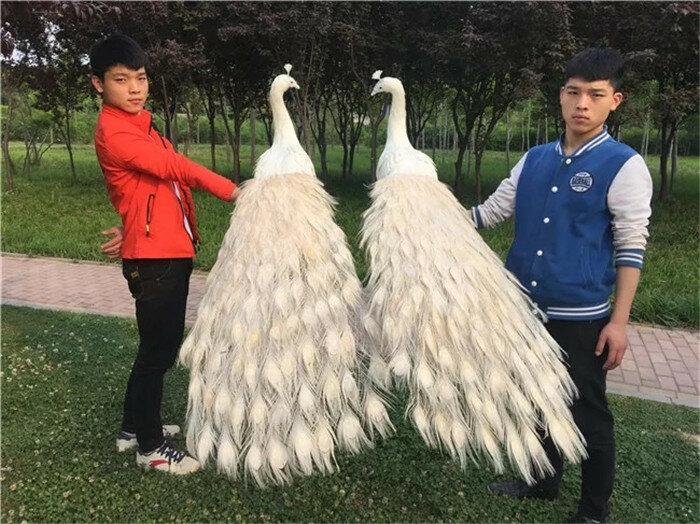 Paire de modèles de paon de simulation blancs, longues belles poupées de paon, mousse et plume, cadeau d'environ 150cm, 2881