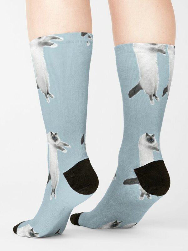 Flyingsmokeypusspuss Calcetines para hombre, regalo