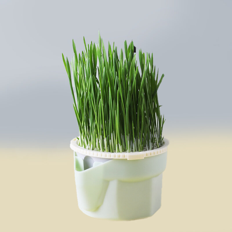 Hidropônico Cat Snack Mint Planting Box, Sprouts Growing TrayPlanting Cup, Plantador de grama de gato doméstico, Flor