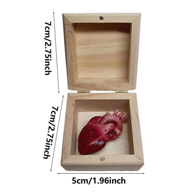 Creativo vero cuore giocattolo organo cuore scatola scherzo giocattoli trucco divertente giocattolo Spoof divertente trucco cuore umano