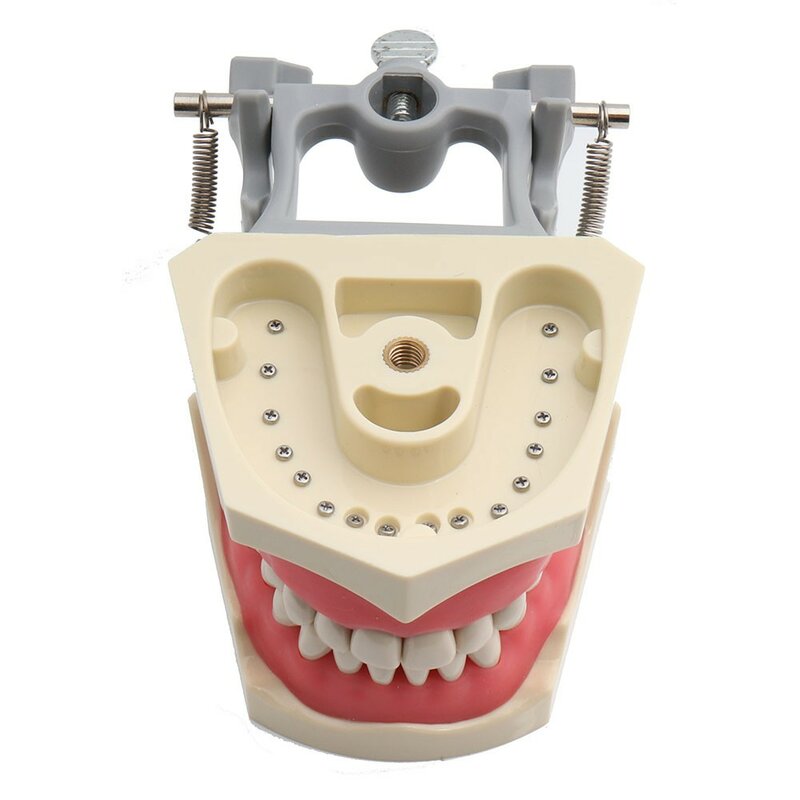 デンタルモデルadc,歯科治療モデル,取り外し可能なトレイ,32個の入れ歯モデル