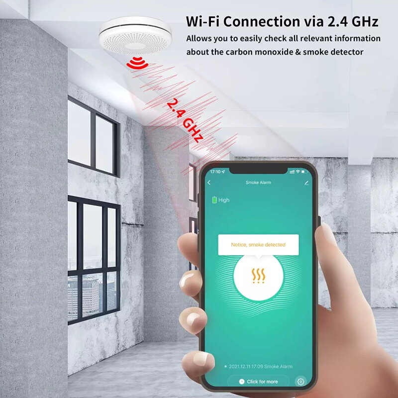 Tuya Sensor Alarm api, WIFI karbon monoksida Sensor Alarm api 85dB suara Tuya App pemberitahuan waktu sebenarnya untuk perlindungan keamanan