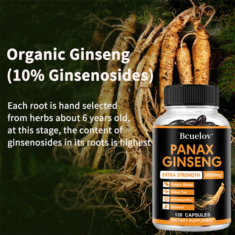 Bcuelov Panax Ginseng-supporta il metabolismo e la salute del sistema immunitario, allevia la fatica