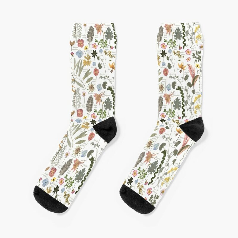 Kaus kaki taman bunga padat buku sketsa botani