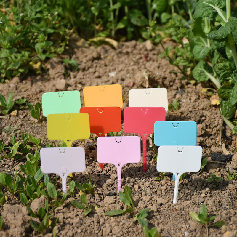30-100pcs Garden Waterproof Re-usable Plant Labels T-type Sign Tags Plastic Markers Record Plate Flower Vegetables Potted Stakes