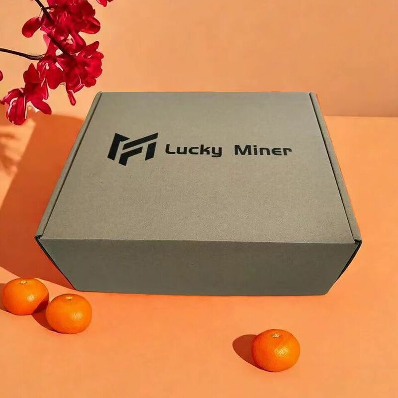 WiFi Bitcoin Miner Lucky Miner LV06 Hashrate 500 g/s con alimentatore compatibile con Nicehash Mining Pool bitcoin miner