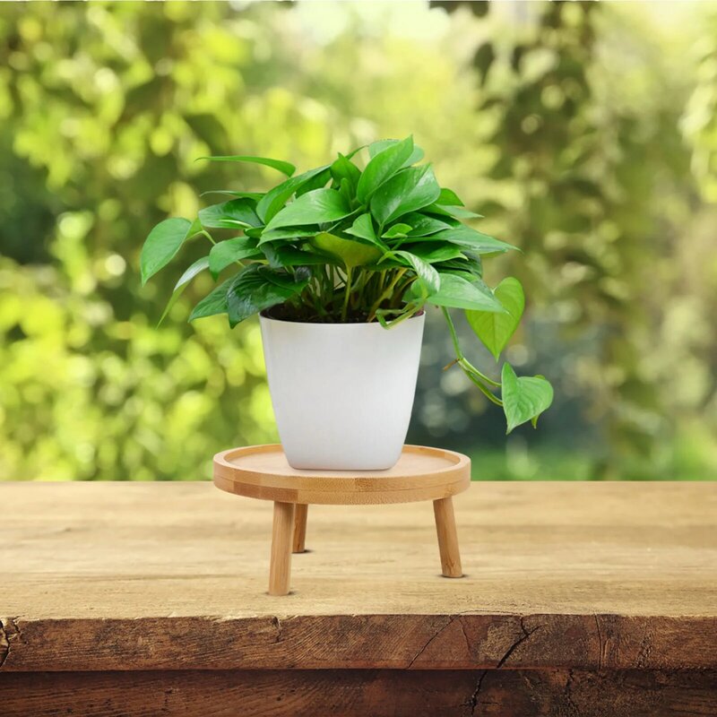 Flower Holder Stand Plant Display Wooden Balcony Planter Round Wood Decorative Rack Potted Rustic Shelf Pot Stands Modern