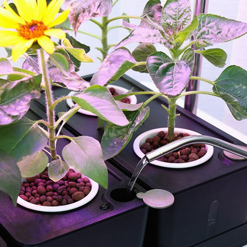 Hidroponia sistema de cultivo interior plantador flores vegetais vertical sistema hidropônico acessórios equipamentos jardinagem inteligente
