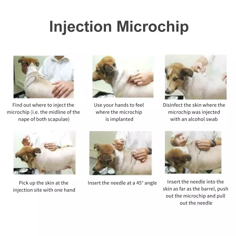 Animal Seringa ID Implante Chip, Injeção Pet Microchip para Dog Cat Identification, ISO11784, FDX-B RFID, 20pcs