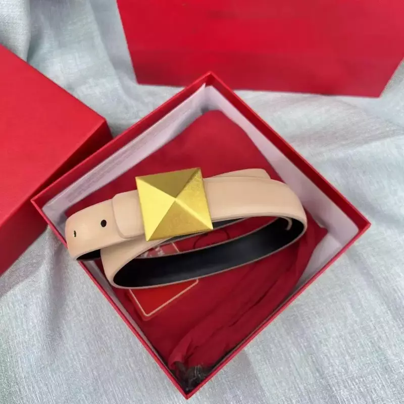Cinturón de cuero de 2024 cm para mujer, correa de cintura con hebilla de Metal, accesorio decorativo que combina con todo, 2,5
