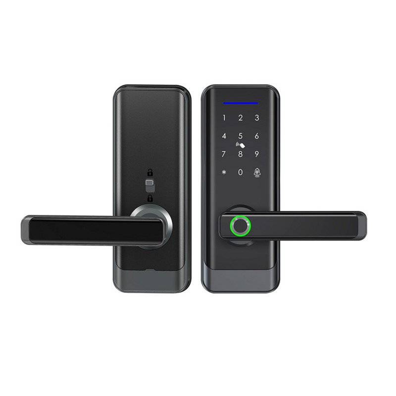 Tuya-Serrure de porte biométrique intelligente étanche, application WiFi, carte-clé numérique, empreinte digitale, serrure de porte électrique, sécurité