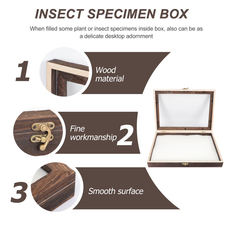 صندوق عرض عينة إطار الحشرات ظلال خشبية مجموعة الخشب صور فوتومعرض العثة خنفساء علة إطارات medalclasspflower