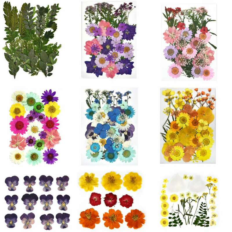 Сушеные цветы, наклейки «сделай сам» в виде прессованных цветов для искусства ногтей