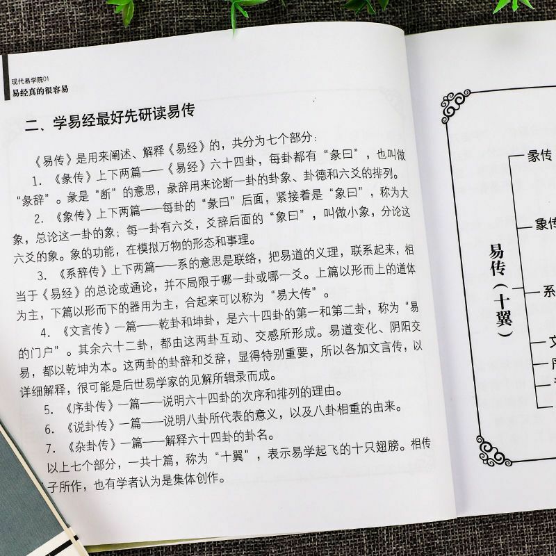 Il libro delle modifiche è così facile Zeng Shi Qiang Yi Jing libri di logica cinese