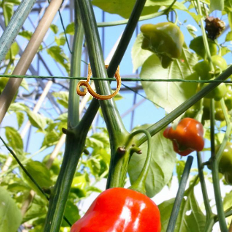 Tomatenclips Katvormige Trellis Plant Ondersteuning Clips Tuinieren Plant & Bloem Hendel Lus Grijper Clips Tuin Clips Om Te Groeien