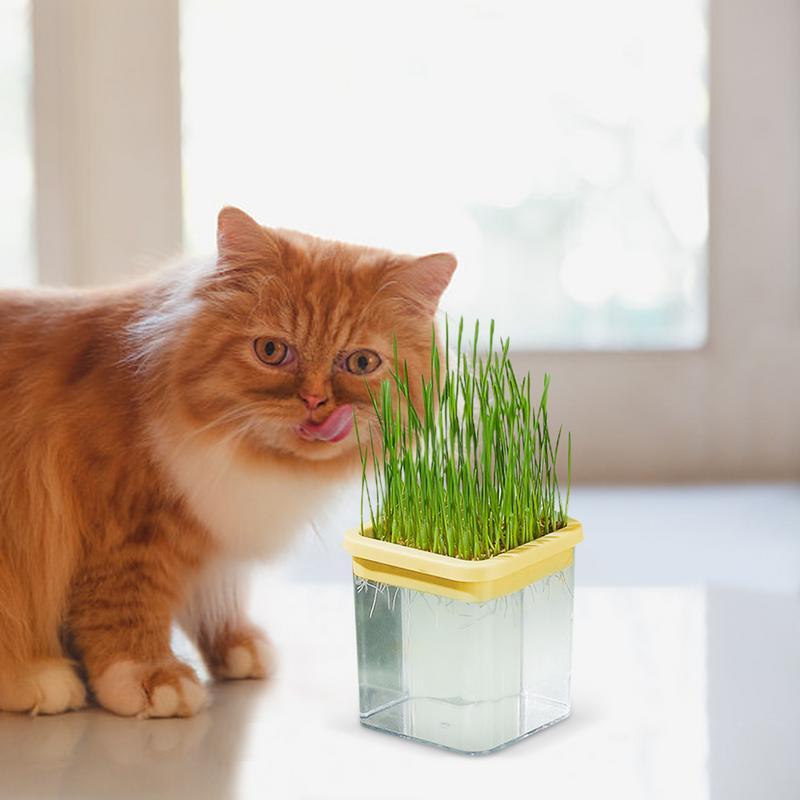 Caja de cultivo de hierba hidropónica para gatos, bandejas de germinación para brotes, hierba gatera hidropónica para gatos, caja de hierba para gatos para el hogar