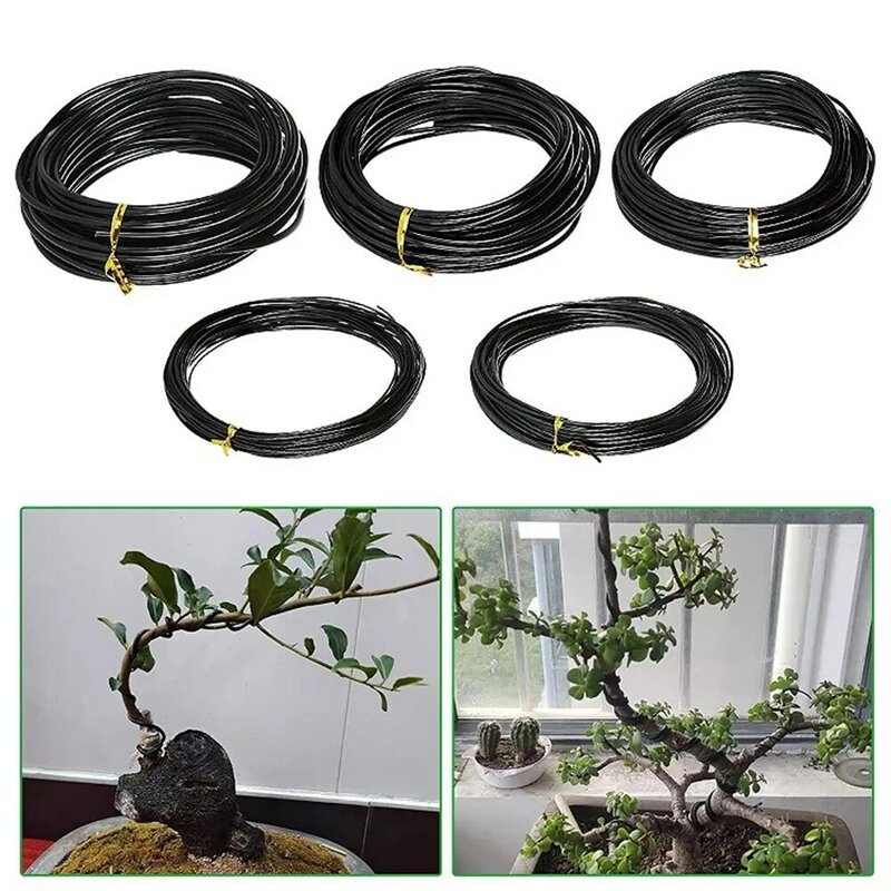 5m Bonsai Wire Plant Support alluminio anodizzato Bonsai Training Wire per forme di piante accessori da giardino 5 dimensioni 1/1.5/2/2.5/3mm