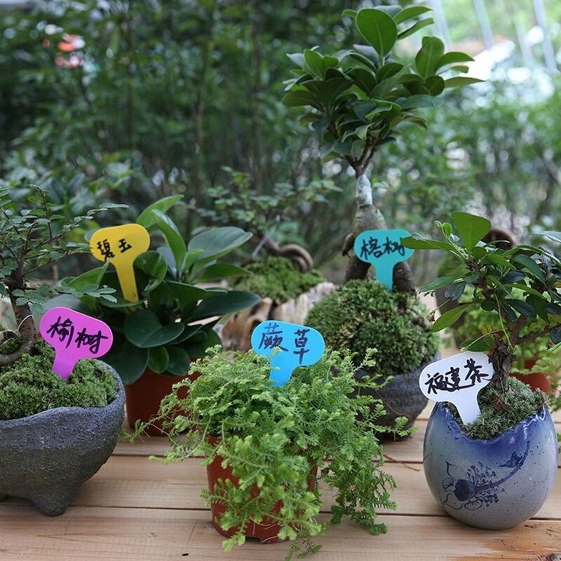 Bộ 100 Nhựa T-Loại Vườn Thẻ Đồ Trang Trí Vật Có Hoa Nhãn Mầm Non Dày Thẻ Đánh Dấu Cho Thực Vật Tự Làm Vườn trang Trí Dụng Cụ