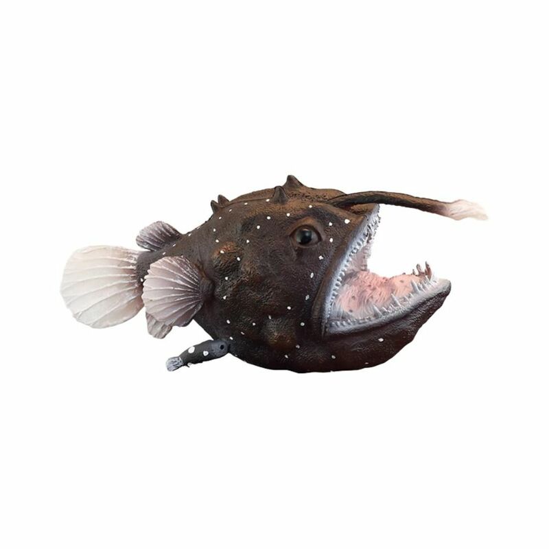 โมเดลสัตว์ทะเลจำลองขนาดเล็กรูปปลาแองเกลอร์ขนาดเล็กการศึกษาสัตว์ทะเลจำลองขนาดเล็กแบบพกพาทำจาก PVC