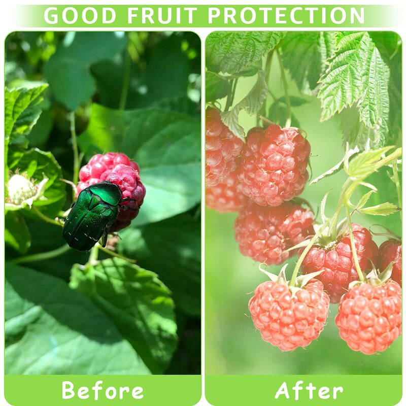 Sacos de proteção de frutas com cordão para árvores, cobertura do jardim, sacos de malha para proteger plantas, pássaros, esquilo, 50pcs
