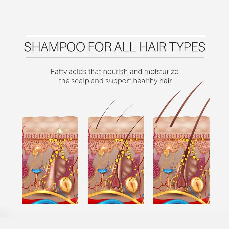 Pansly Haargroei Shampoo Alle Haartypes Gember Extract Haaruitval Behandeling Wakker Haarzakjes Haargroeiproducten 100Ml