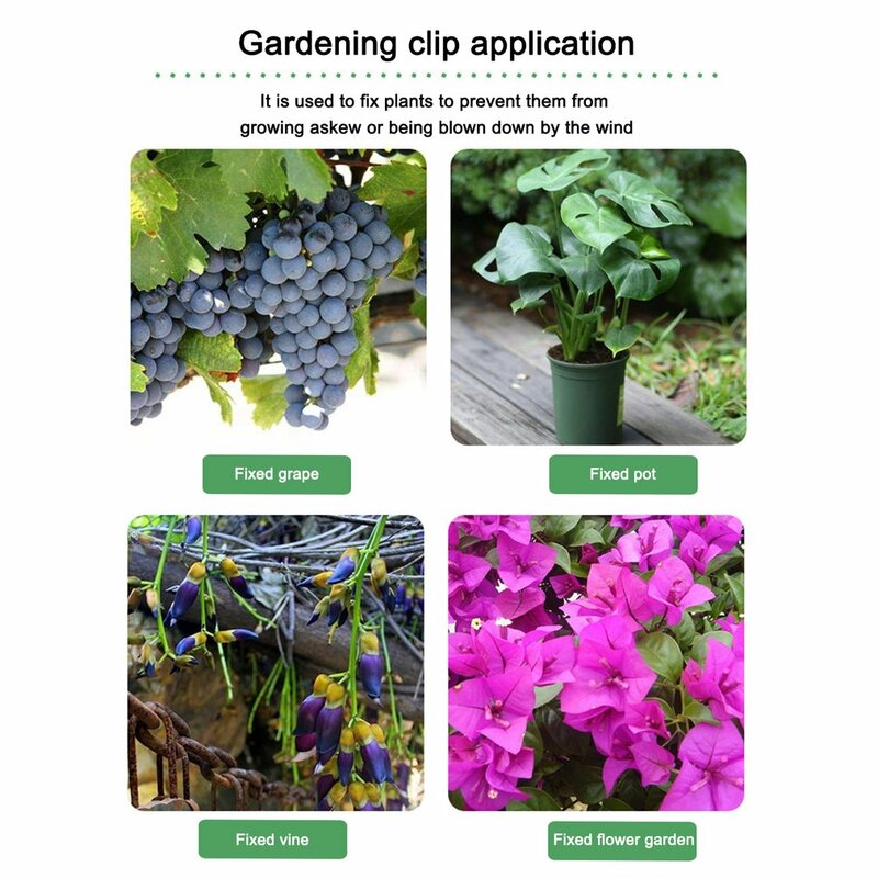 Clip de plástico para plantas de jardín, fijación de vides de uva, para tomate, 50 unidades