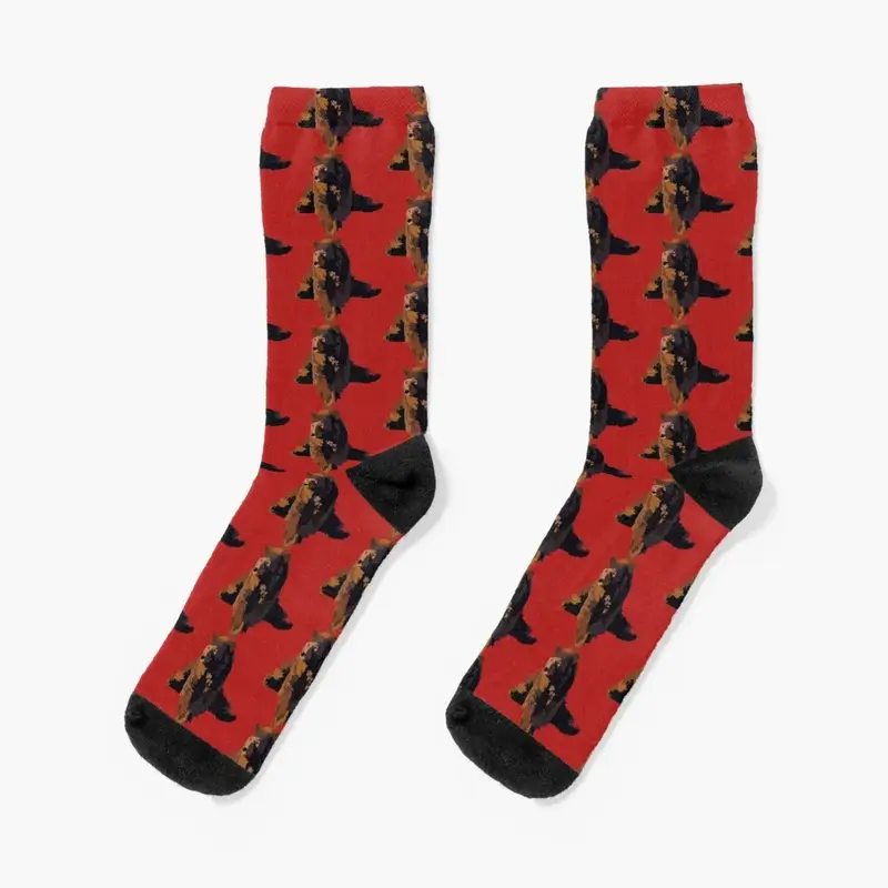 Custom Cornell Bear Sports Socks para homens, Meias femininas, Meias esportivas, Custom