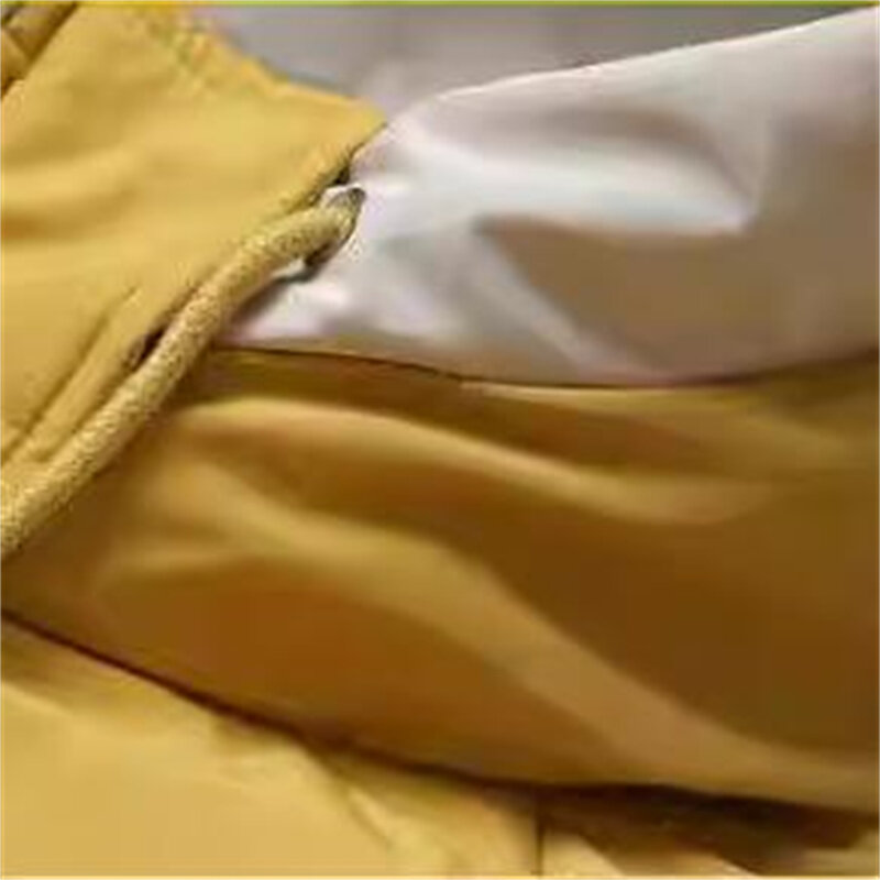 Veste d'Hiver Chaude et Épaisse en Coton pour Femme, Manteau Basique à Capuche, Grande Taille, Style Coréen, Nouvelle Collection 2024