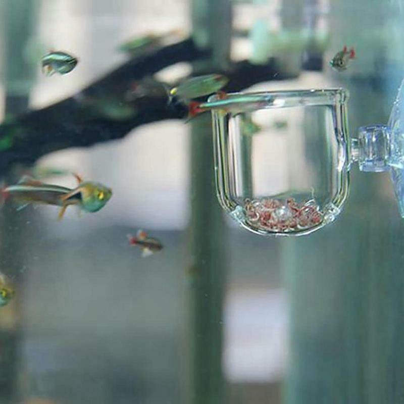 Vaso per piante da acquario tazza cilindrica in vetro con ventose per coltivare semi di piante acquatiche accessorio per la decorazione di acquario di muschio di corallo