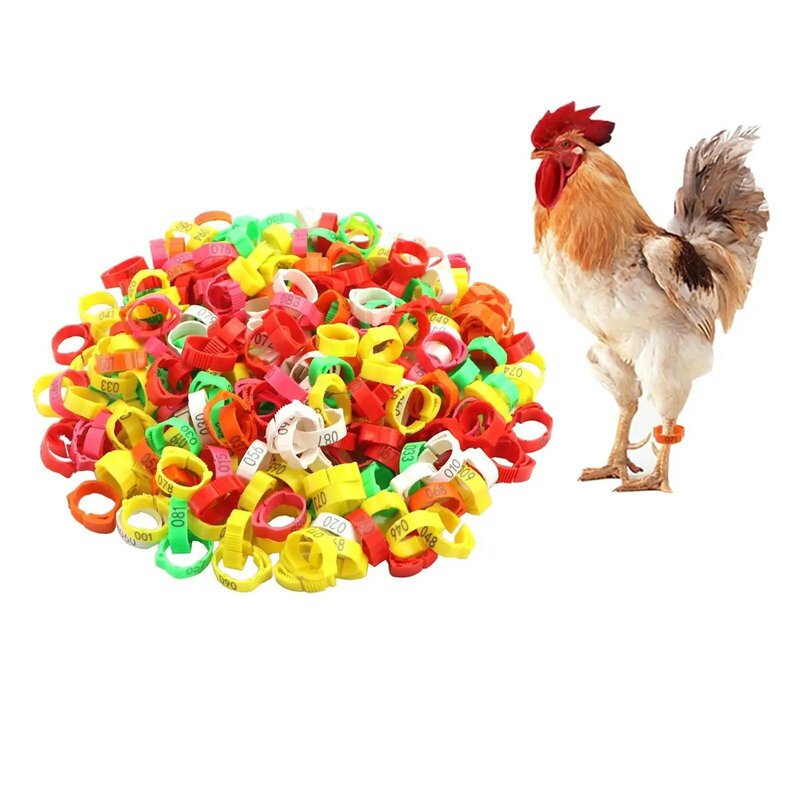 100x Chicken Identification Band Poultry Foot Bands for Pigeon Chickens