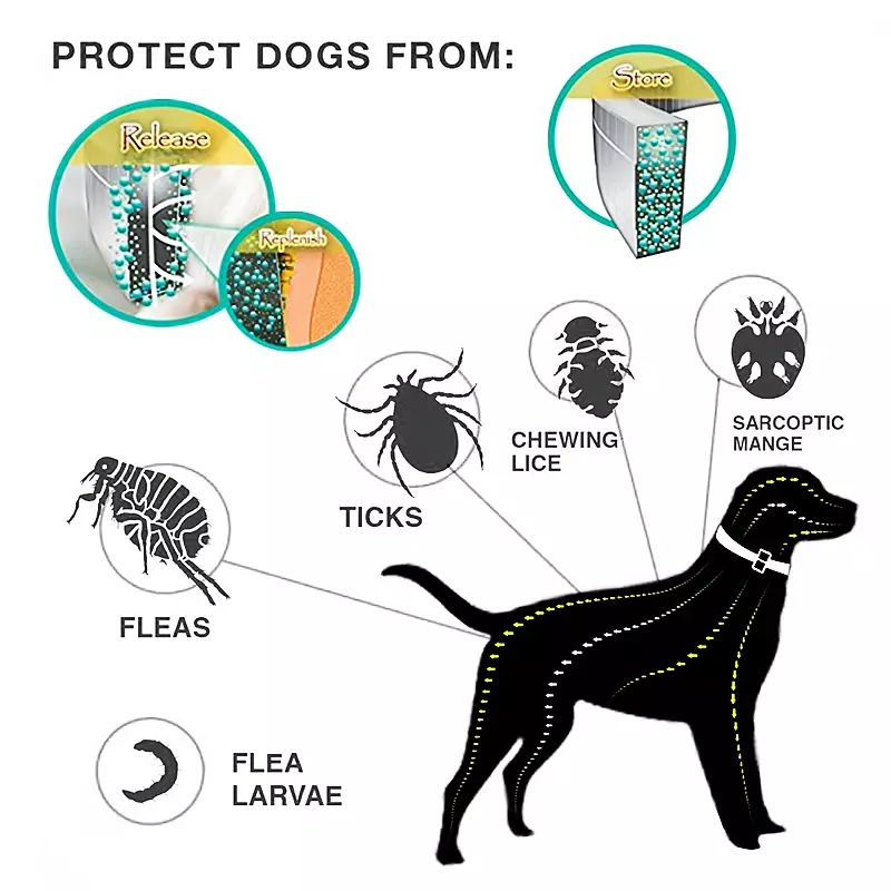 Hunde-Anti-Floh-und Zecken halsbänder, Haustier 8 Monate Schutz verstellbares Halsband für große Hunde welpen katze, Hunde zubehör
