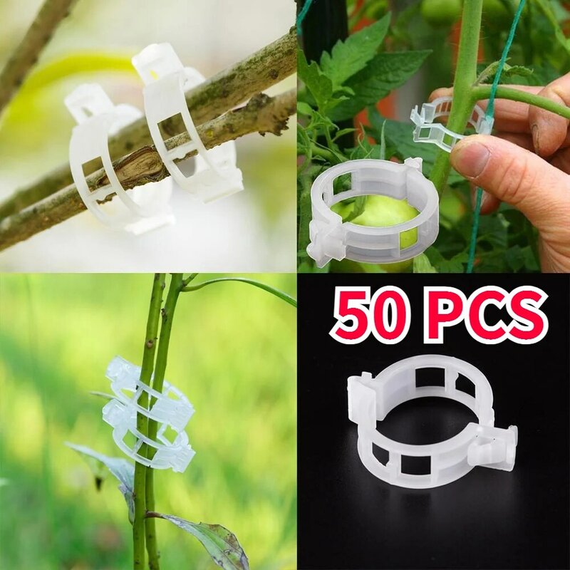 50 buah klip tanaman plastik perlindungan koneksi, alat perbaikan cangkok sayuran tomat berkebun dapat digunakan kembali