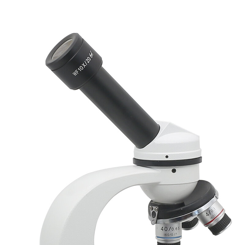 Microscopio ocular de punto alto WF10X, visor de campo de visión de 20mm, montaje ocular de 23,2mm para microscopio biológico con escala de retícula