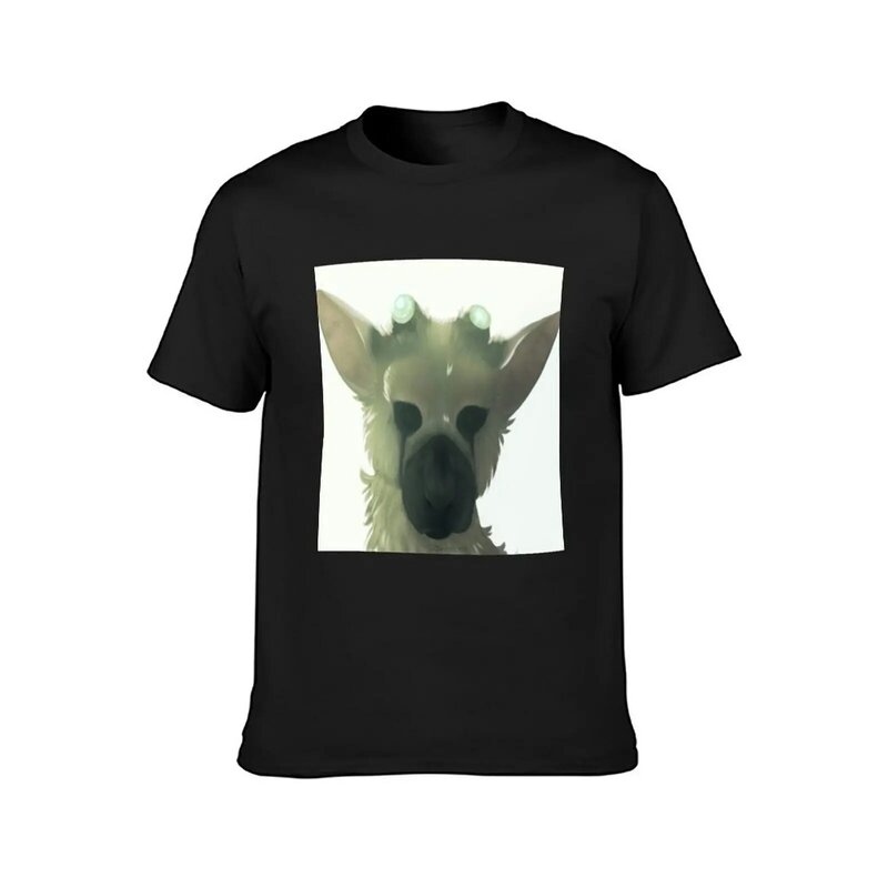 T-shirt Trico surdimensionné pour homme, T-shirt en coton, T-shirt imprimé animal sublime pour garçon, The Last Panoramic