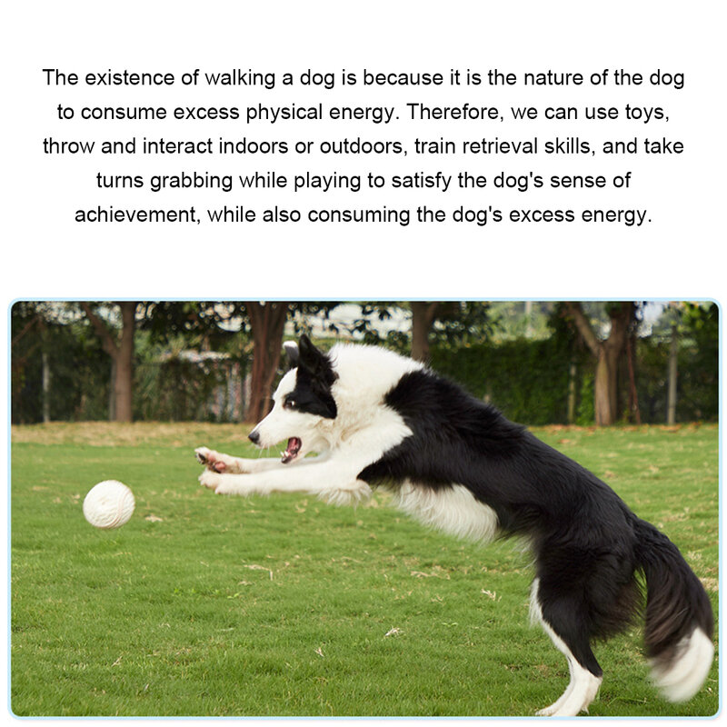 Juguete interactivo para perros, pelota de goma segura y duradera, fácil de limpiar, mantenimiento sin estrés