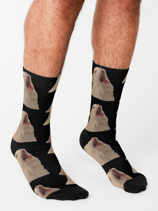 Chaussettes chauffantes avec imprimé de chat blanc pour hommes et femmes, chaussettes Screaming Meme, chaussettes de tennis amusantes