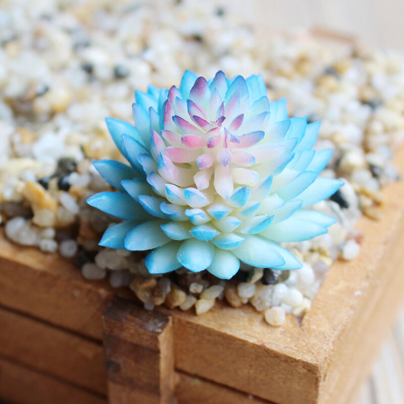 Artificiale plastica pianta succulenta Cactus Echeveria fiore casa giardino ufficio Decor regalo accessori creativi ornamenti artigianali
