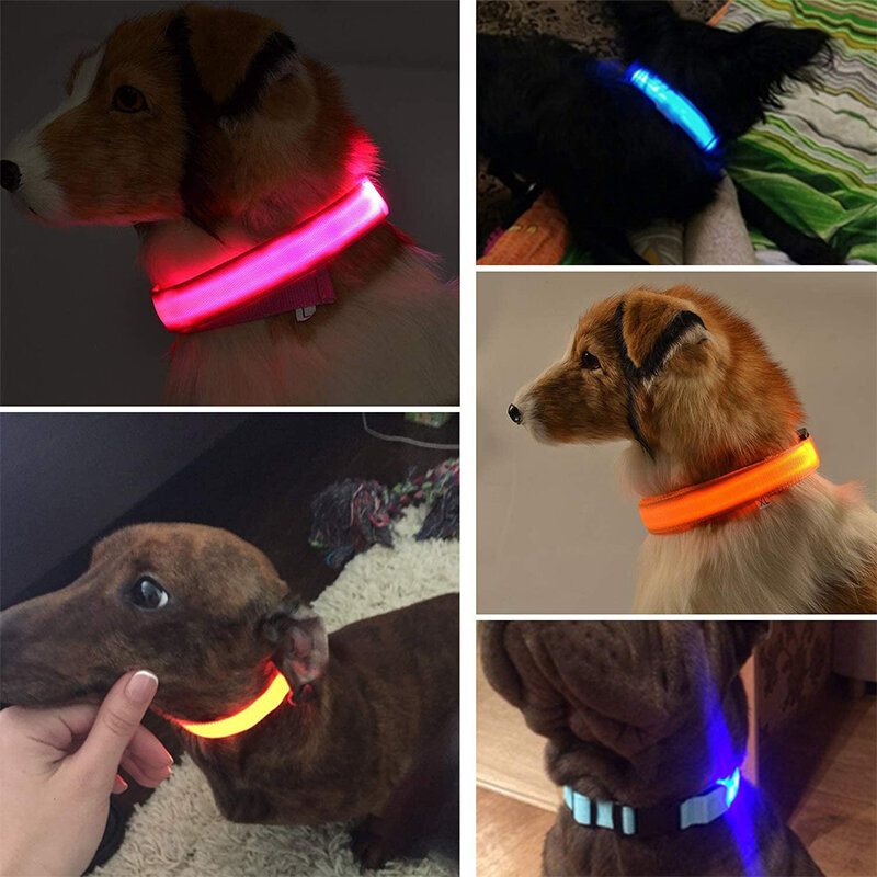 Collares LED brillantes para perros, Collar luminoso impermeable recargable, Collar de luz nocturna ajustable para perros, Collar de seguridad para mascotas