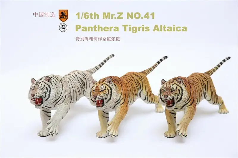 Mr.Z 1/6 фигурка сибирского тигра, животное, Panthera Tigris Altaica, модель, полимерная игрушка, настольные украшения, украшения, куклы, подарки для детей
