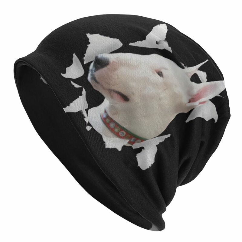 Bull Terrier Dog Face Men Women Thin Beanies Windproof Ski Cap Skullies Bonnet Hat