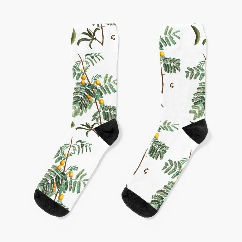 Chaussettes de sport Mimosa farnesiana pour hommes et femmes, cool