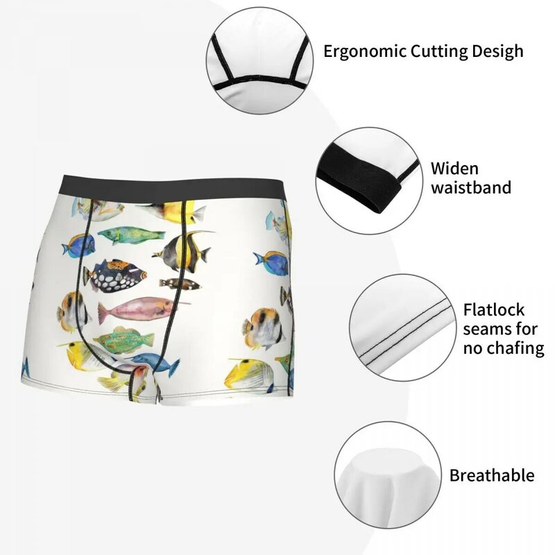 Various Colorful Tropical Fish Men's Boxer Briefs, Highly Breathable Underwear,Top Quality 3D Print Shorts Birthday Gifts