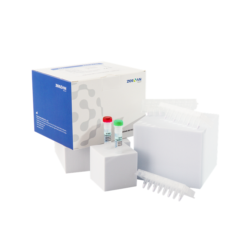 Kit di rilevamento dell'acido nucleico del virus umano ad alto rischio certificato CE Test HPV PCR