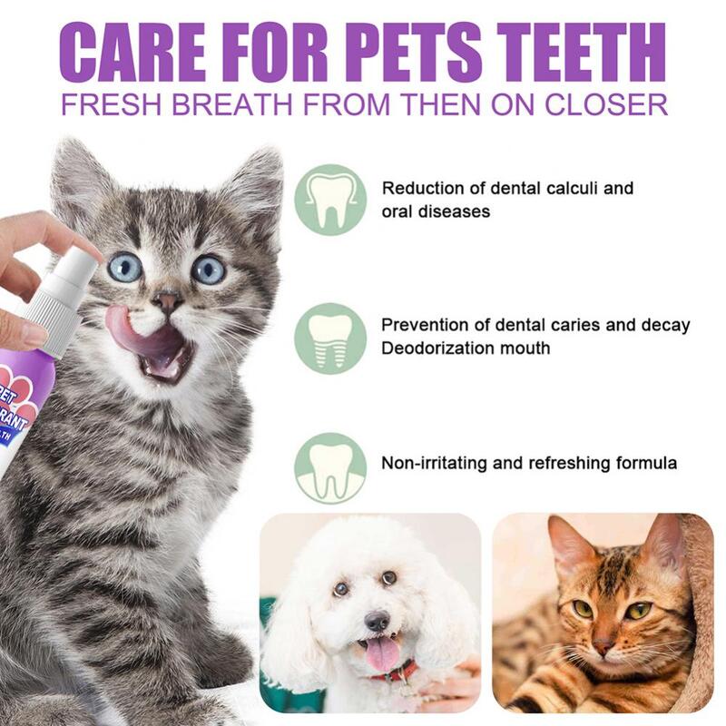 60ml Pet Oral Cleanse Spray psy koty czyste zęby dezodorant zapobieganie rachunku usuń kotek nieświeży oddech artykuły dla zwierząt
