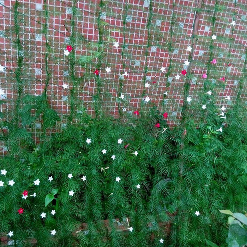 شبكة حديقة منزلية من النايلون ، تسلق البطيخ المر ، زهور شبكية ، خيار ، نباتات كرمة ، سهلة التطبيق ، عملية ، 0.9x1.8m