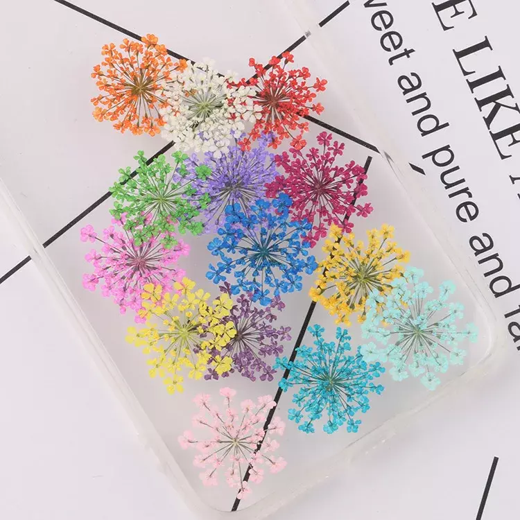 2 pz/scatola 3D fiori secchi decorazioni per unghie adesivi per fiori secchi veri disegni di ciondoli per Manicure fai da te per accessori per unghie