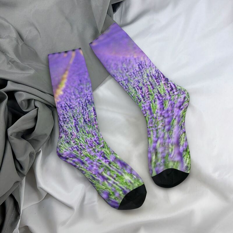 Lavendel felder für immer Socken Winter Dunkellila Pflanze violett Vera Strümpfe Mode Frauen Socken benutzer definierte Outdoor rutsch feste Socken
