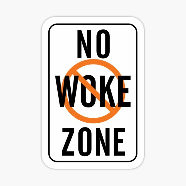 No Woke Zone  5PCS Car Stickers for Bumper Decor  Living Room Room Water Bottles  Kid Background Window Stickers Wall Print